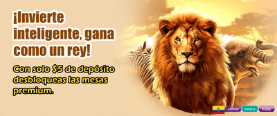 Gana en grande con Tonybet