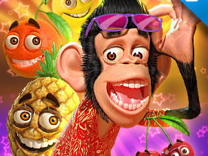 Funny Monkey
